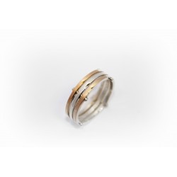 Silver ring with gold details